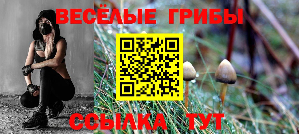 Псилоцибиновые грибы Magic Shrooms  Вход с VPN  Галлюциногенные грибы ЛСД  Элиста 
